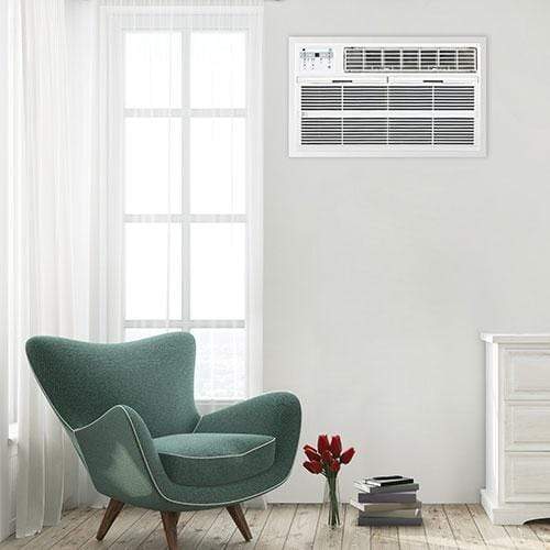 10,000 BTU Thru-the-Wall Air Conditioner, 230V (R32)